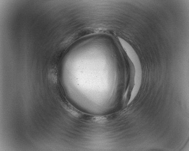 X0000064720719200603031616