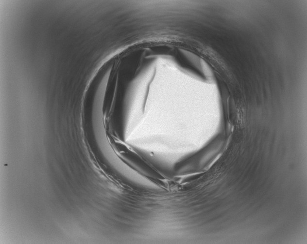 X0000064720724200603031615