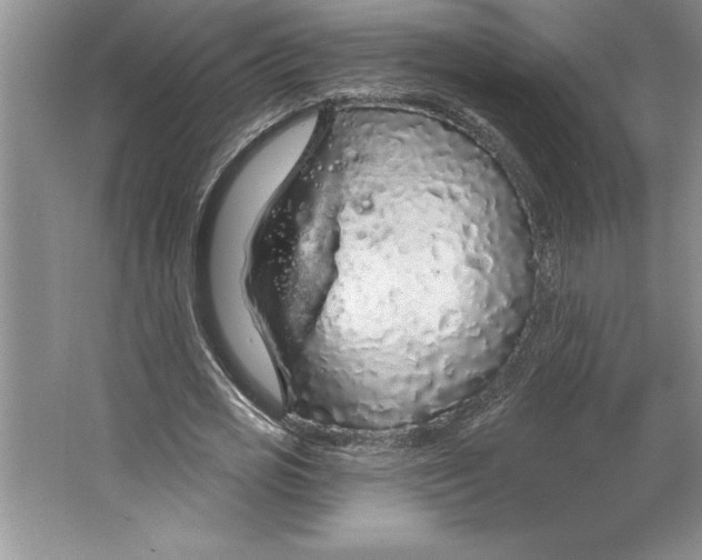 X0000064720725200603031615