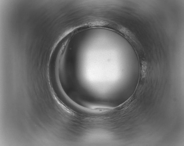 X0000064720726200603031615