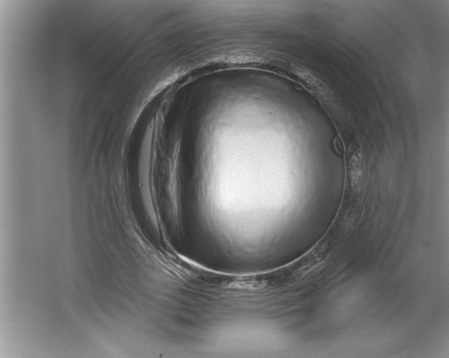X0000064720727200603031615