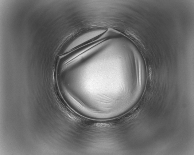 X0000064720733200603031615