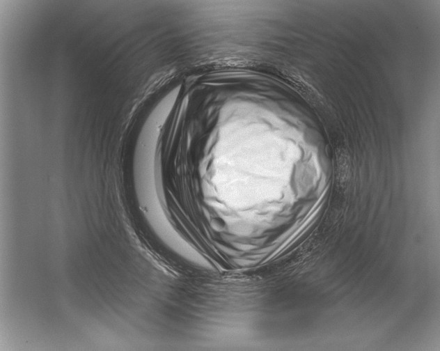 X0000064720738200603031615