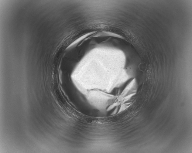 X0000064720739200603031615