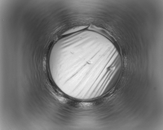 X0000064720741200603031615