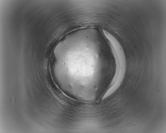 X0000064720742200603031615