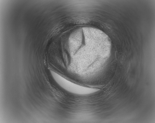 X0000064720743200603031615