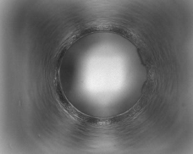 X0000064720744200603031615