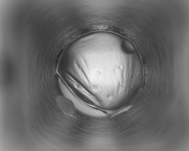 X0000064720745200603031615