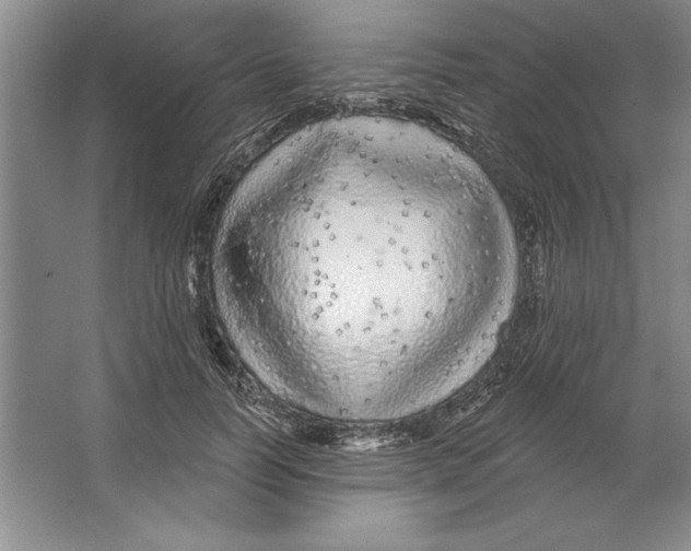 X0000064720746200603031615