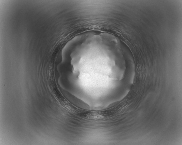 X0000064720747200603031615