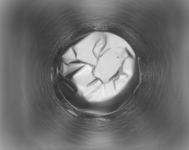 X0000064720748200603031615