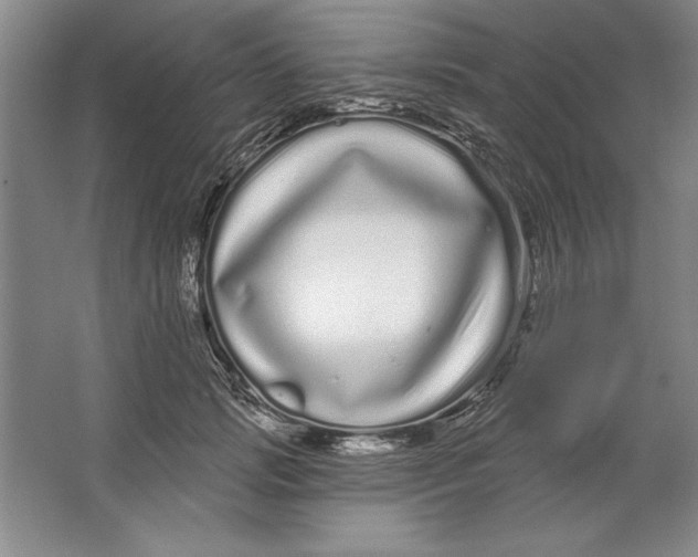 X0000064720749200603031615