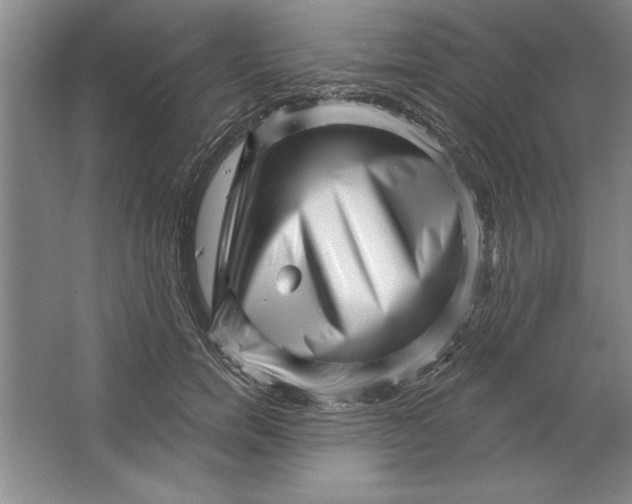 X0000064720750200603031615
