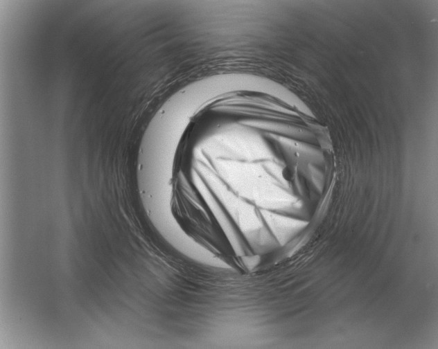 X0000064720751200603031615