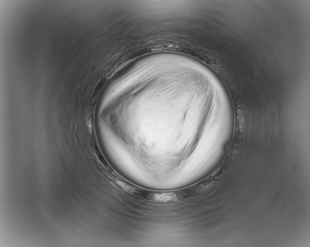 X0000064720753200603031615