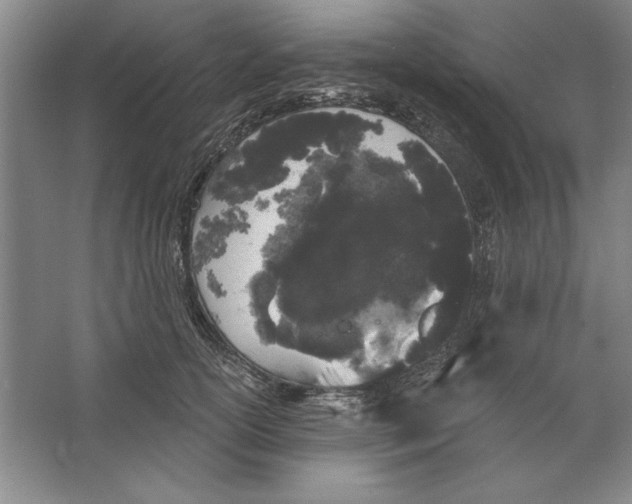 X0000064720754200603031615