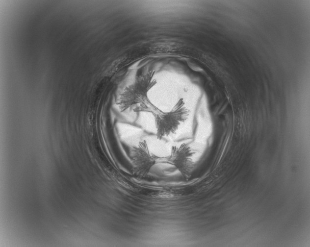 X0000064720759200603031615