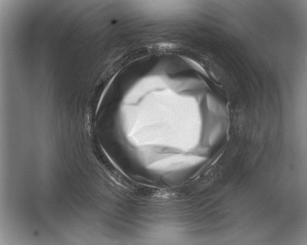 X0000064720760200603031615