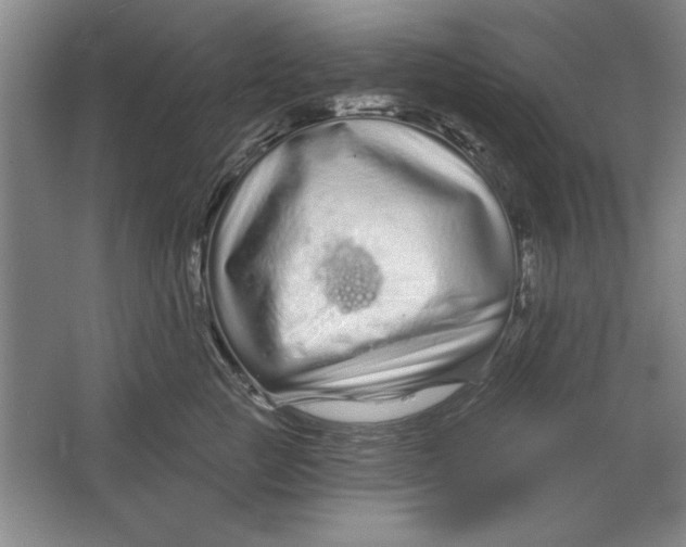 X0000064720761200603031615