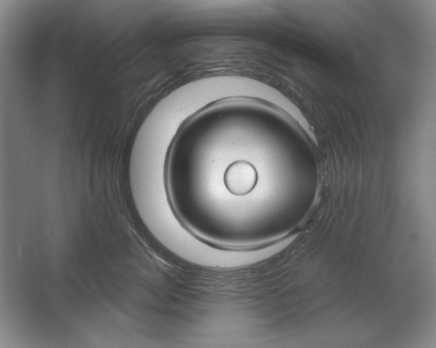 X0000064720764200603031615