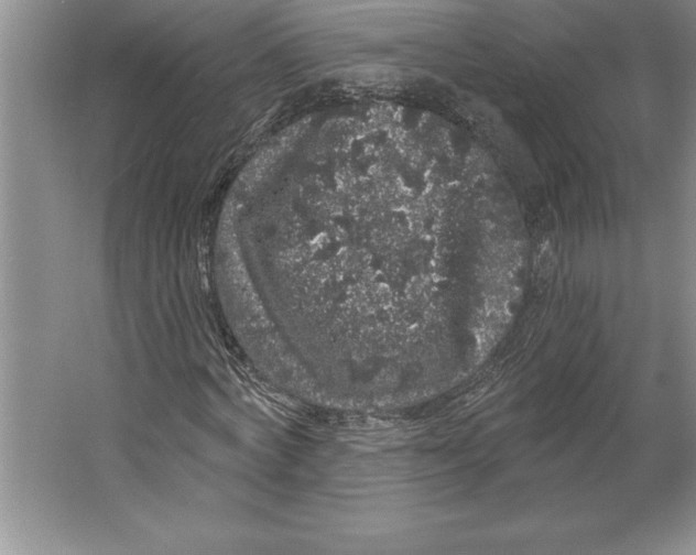 X0000064720772200603031615