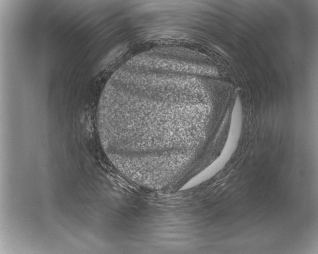 X0000064720774200603031615