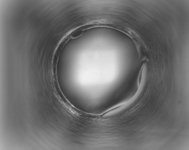 X0000064720784200603031614