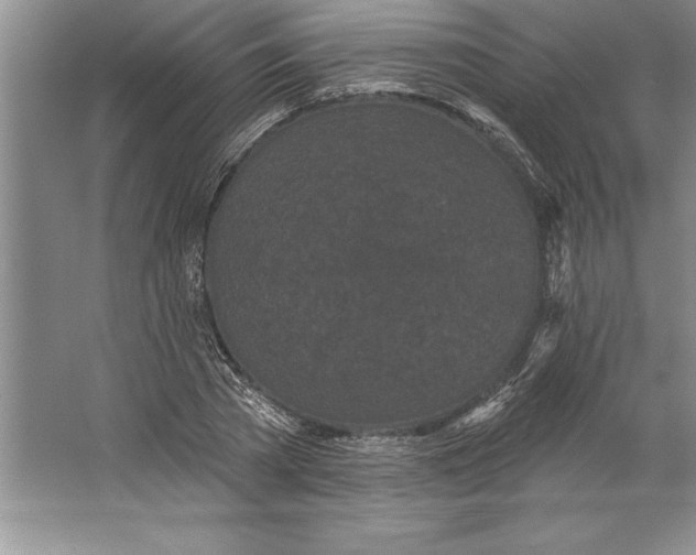 X0000064720785200603031614