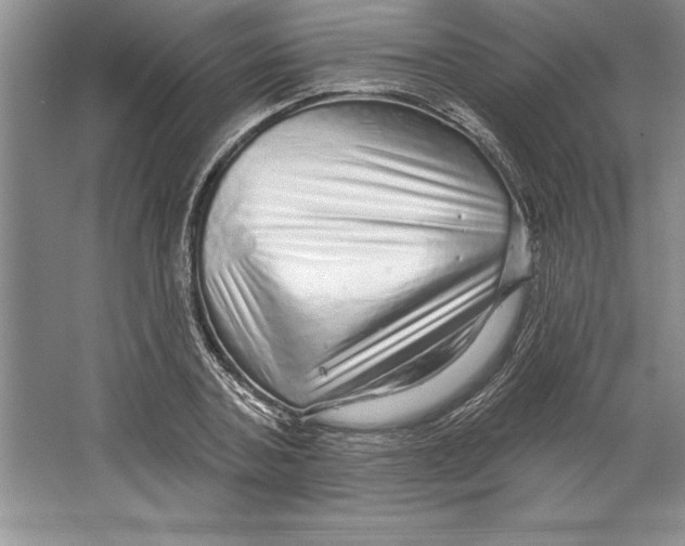 X0000064720787200603031614
