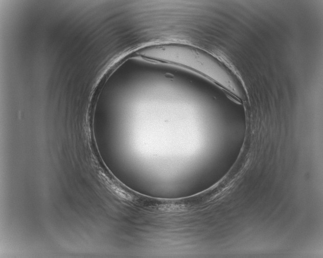 X0000064720789200603031614