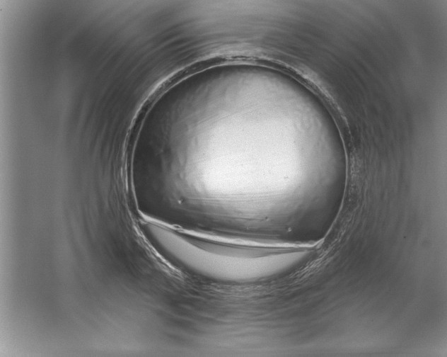 X0000064720791200603031614