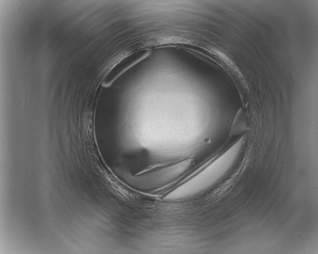 X0000064720793200603031614