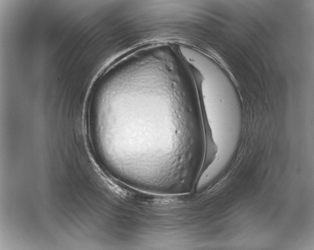 X0000064720795200603031614