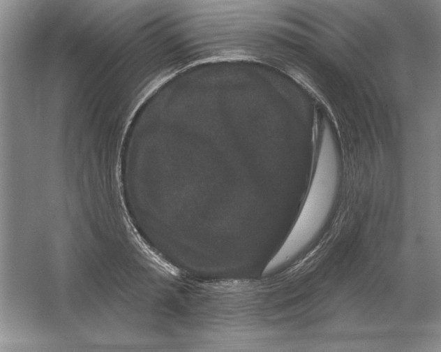X0000064720797200603031614