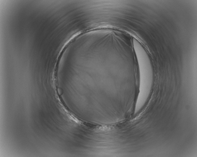 X0000064720806200603031614