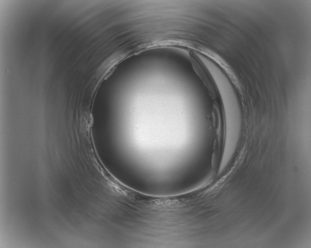 X0000064720809200603031614