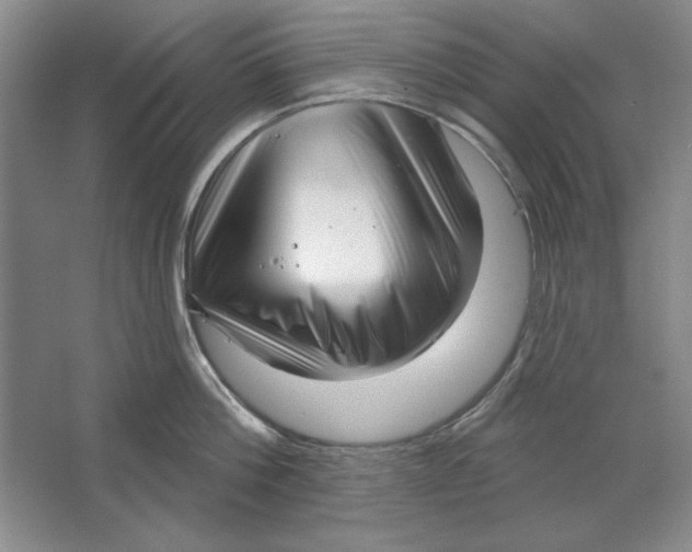 X0000064720812200603031614