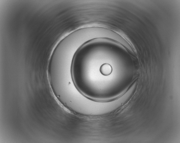 X0000064720813200603031614