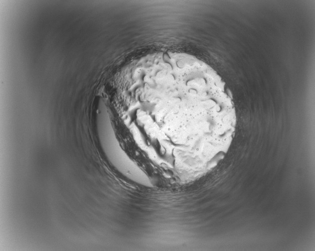 X0000064720817200603031613
