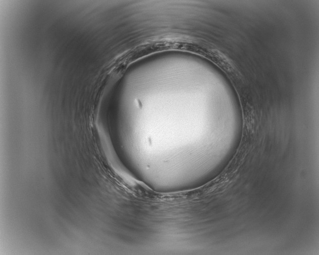 X0000064720821200603031613