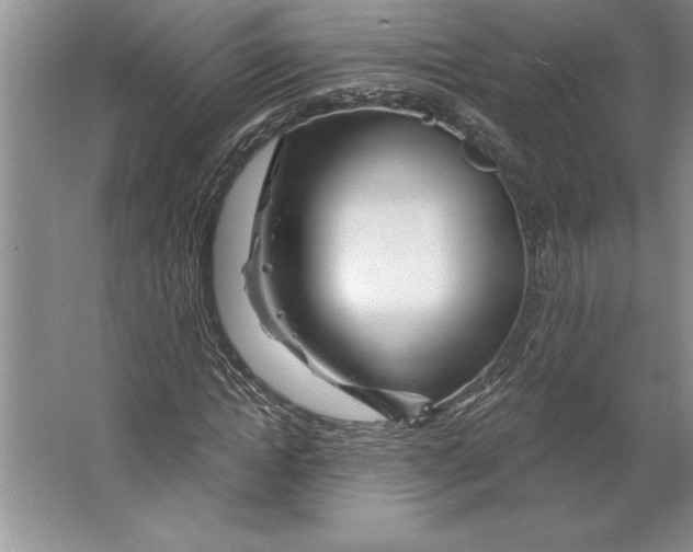 X0000064720822200603031613