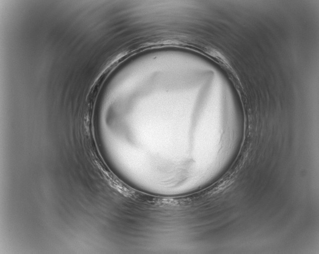 X0000064720827200603031613
