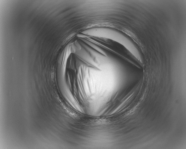 X0000064720841200603031613