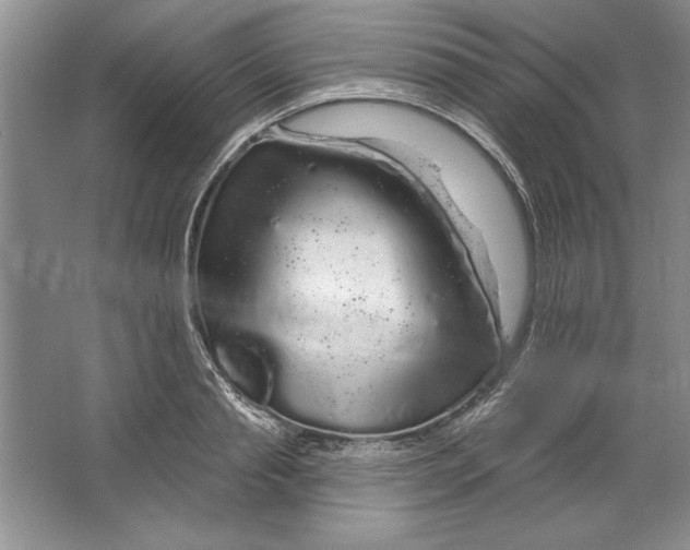 X0000064720845200603031614
