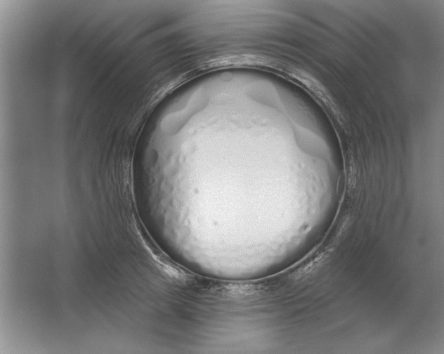 X0000064720849200603031614