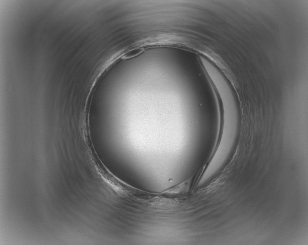 X0000064720850200603031614