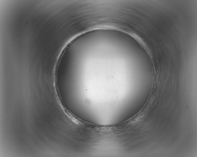 X0000064720862200603031614