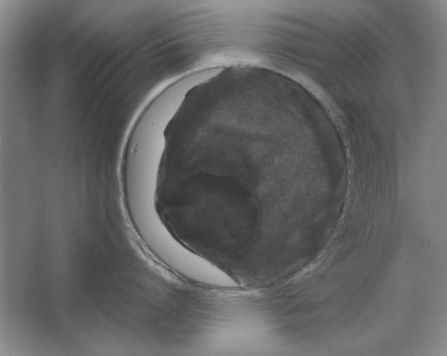X0000064720864200603031614