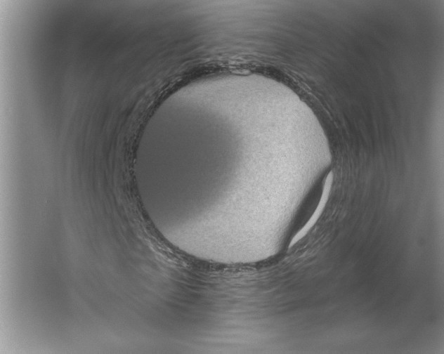 X0000064720865200603031613